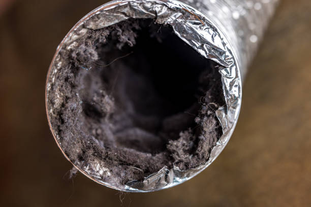 Best Mold and Mildew Removal from Ducts in Le Mars, IA